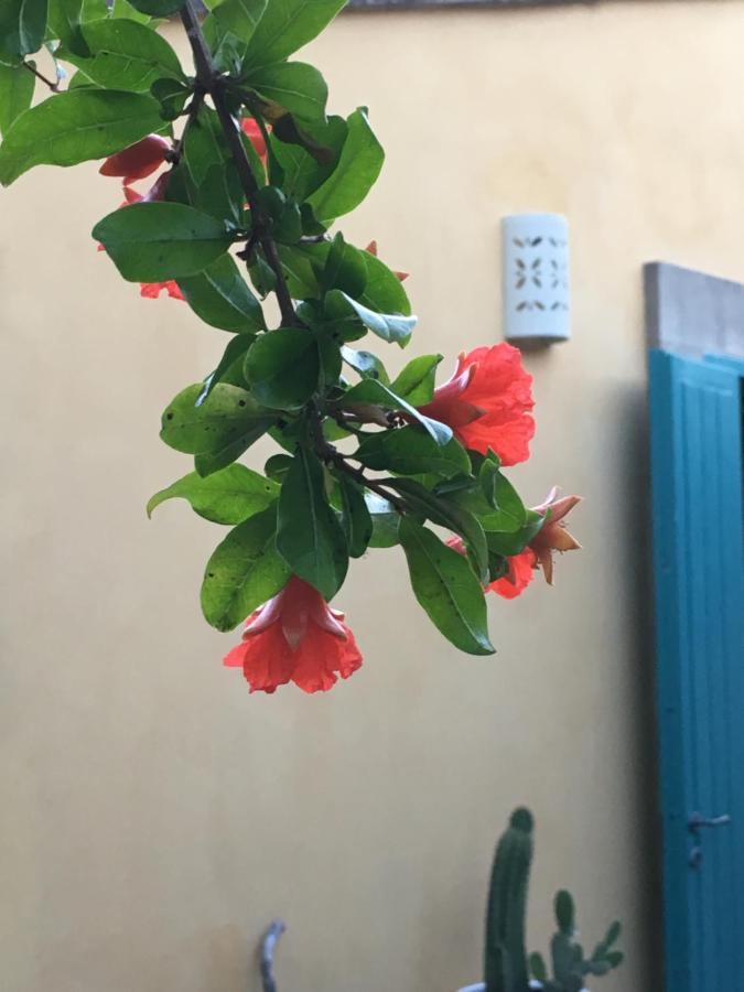 Masseria Lu Iundulu Lecce Exteriör bild